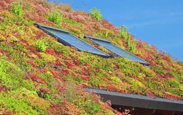 Shoreham Beach living roof systems