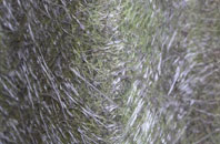 Shoreham Beach fibreglass roof work